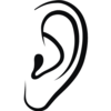Ear