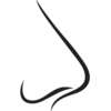 Nose