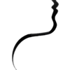Throat